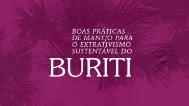 Boas práticas de manejo para o extrativismo sustentável do buriti