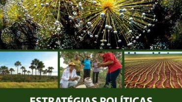 Estratégias políticas para o cerrado: desenvolvimento socioeconômico responsável, conservação e uso sustentável da biodiversidade, redução do desmatamento e restauração da vegetação nativa