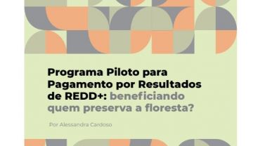 Programa Piloto para pagamento por resultados de REDD: beneficiando quem preserva a floresta?