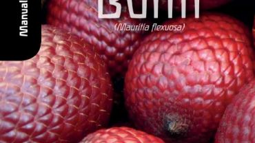 Manual Tecnológico de Aproveitamento Integral do Fruto e da Folha do Buriti