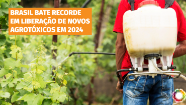 Brasil bateu recorde de liberação de agrotóxicos em 2024