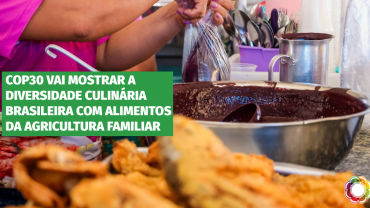 Cozinheira prepara açaí e peixe para refeição em Belém (PA): delícias que levam ao prato sabores, cultura e ancestralidade